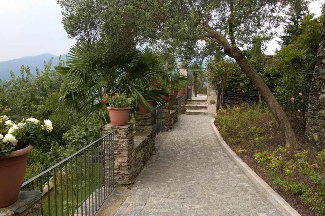 Domus Cusiana Complesso Vista Lago E Piscina Miasino Eksteriør billede